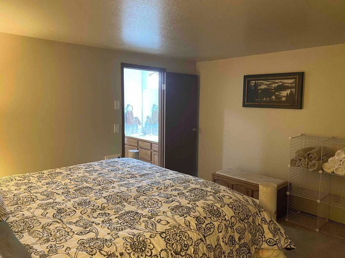 Room 2, Cozy Bear Condo, Iron