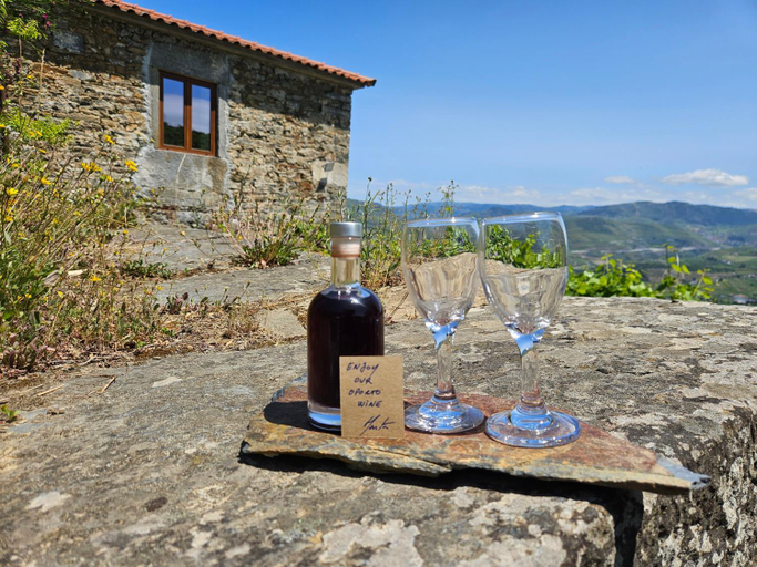 5, Quinta de Sobre a Fonte Charming Apartments - traditional winery, Peso da Régua