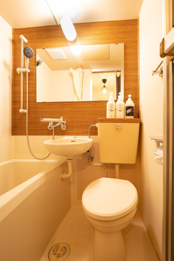 Bathroom 2, SWANPARK IKEBUKURO, Toshima