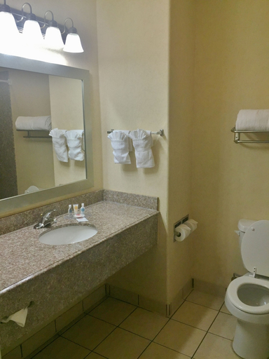 Bathroom 4, Comfort Inn Marrero - New Orleans West, Jefferson