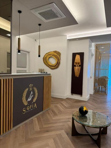 Reception 2, Sofia Ultra Suite Collection, Rome