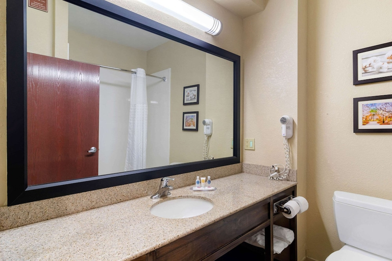 Bathroom 4, Comfort Inn & Suites Griffin North, Spalding