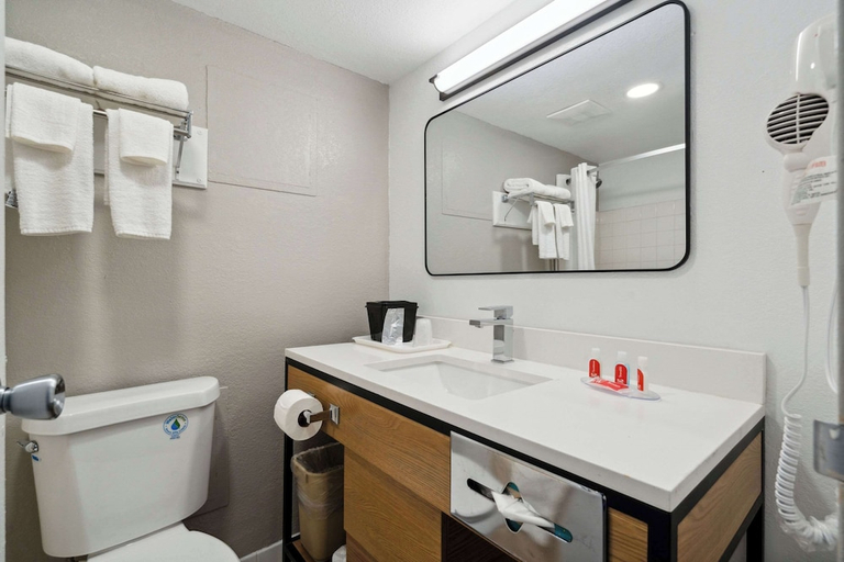 Bathroom 4, Econo Lodge Inn & Suites Waterloo Downtown, Black Hawk