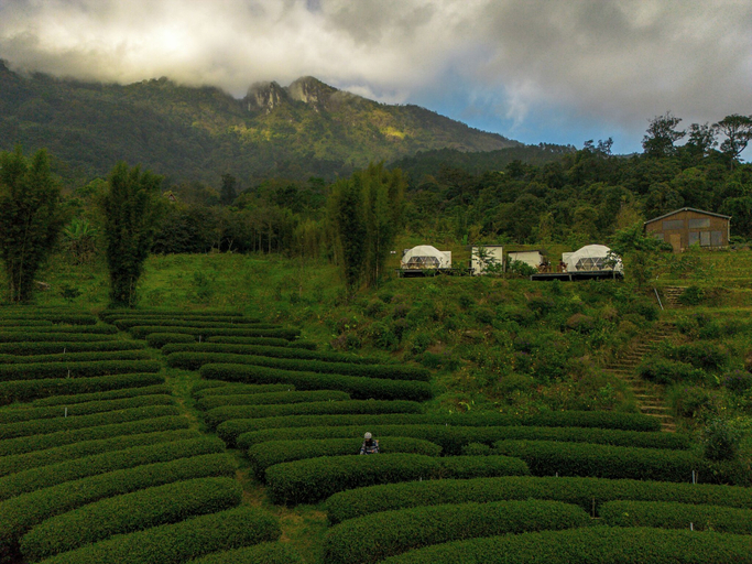 Garden 2, Doi Inthanon Tea Farmstay, Chom Thong
