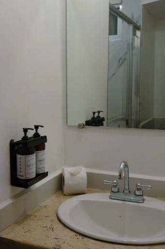 Bathroom 4, Baez Carrizal, Centro