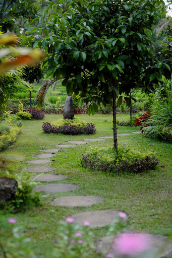 Others 4, Nishiyama Wooden House, Buleleng