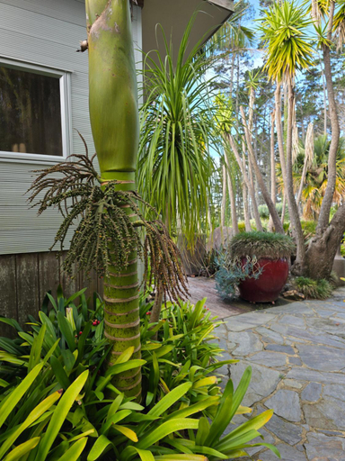 Others 4, Nikau Apartments Waiheke Island, Auckland
