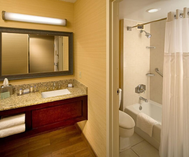 Bathroom 4, Park Vista A Doubletree Hilton Hotel Gatlinburg, Sevier