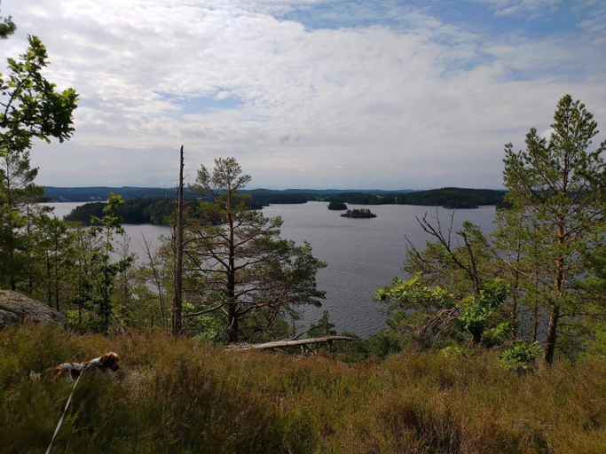Others 5, person holiday home in HORN-By Traum, Kinda