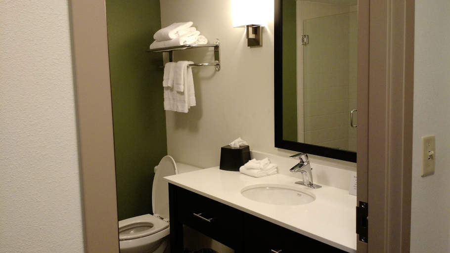 Bathroom 4, Sleep Inn & Suites Defuniak Springs - Crestview, Walton