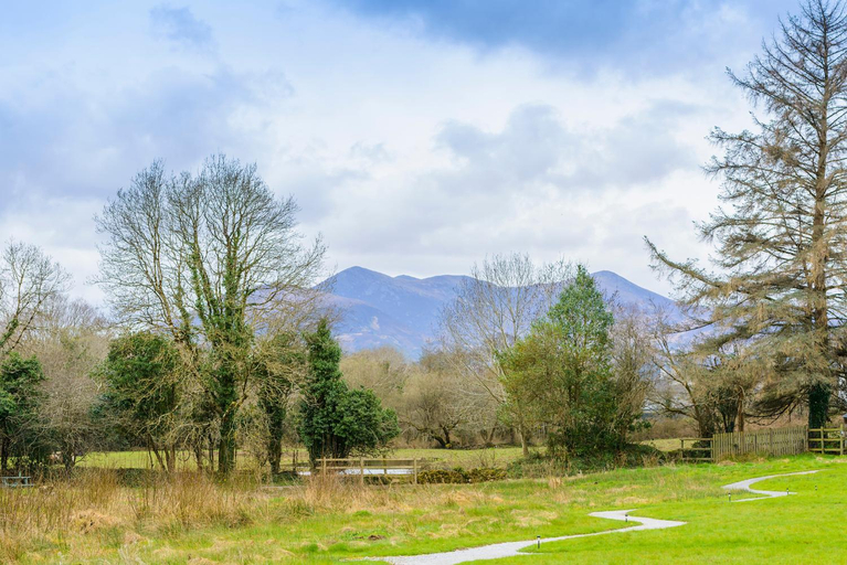 Others 2, Killarney Glamping at the Grove, Suites and Lodges