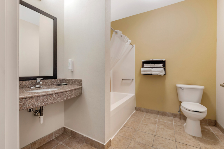 Bathroom 4, Sleep Inn & Suites Wisconsin Rapids, Wood