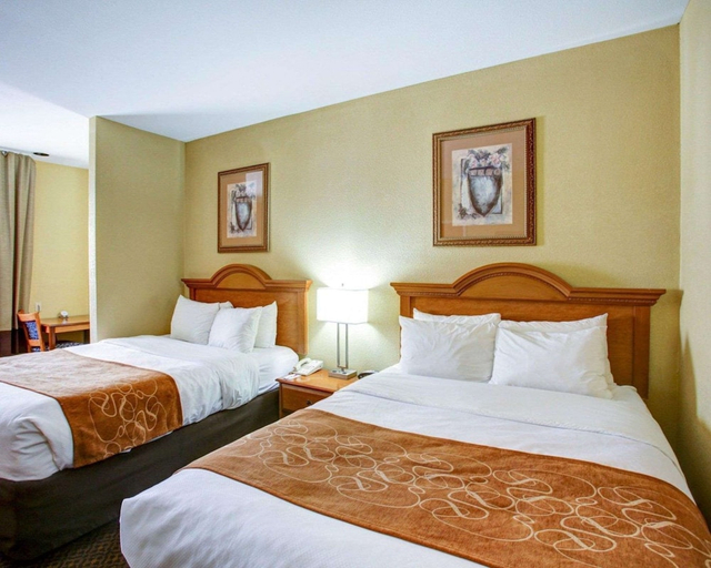 Bedroom 3, Comfort Suites Brenham, TX, Washington