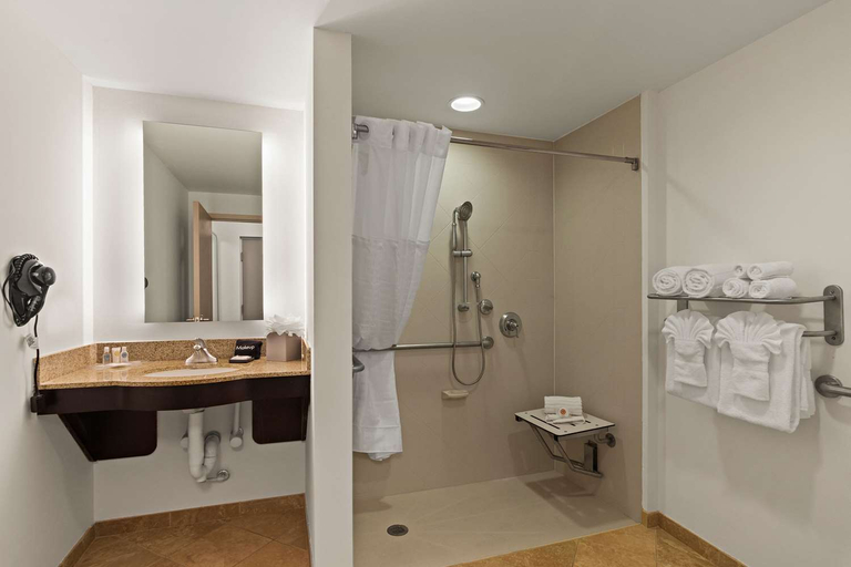 Bathroom 4, Comfort Suites Vero Beach I-95, Indian River