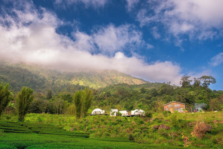 Garden 5, Doi Inthanon Tea Farmstay, Chom Thong