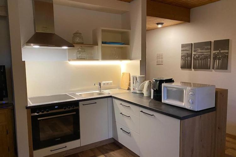 Others 4, Apartment in Tauplitz near Ski Lift, Liezen