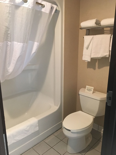 Bathroom 4, Comfort Inn Port Huron, Saint Clair