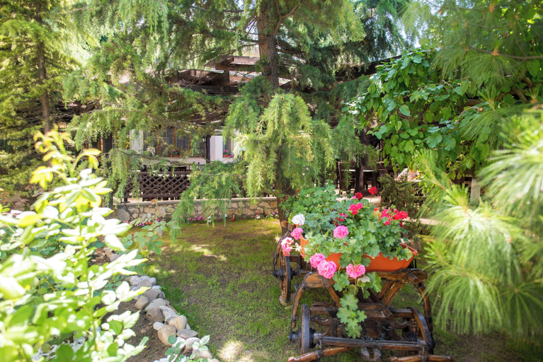 Garden 2, Hotel Anina, Agigea