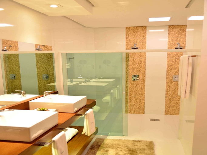 Others 5, Matao Hotel Suites By Mercure (ex Matao Othon Suites), Matão