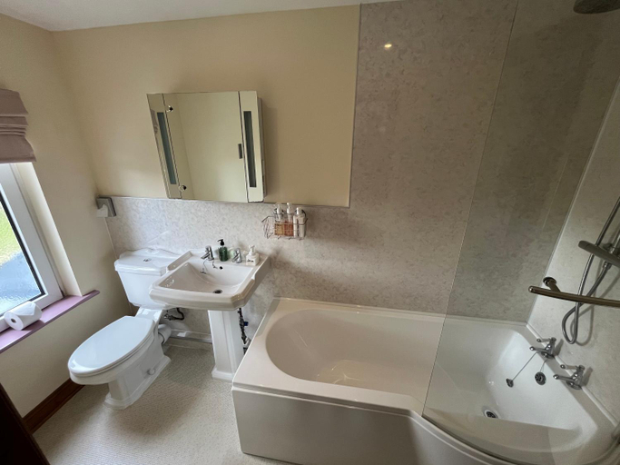 Bathroom 3, The Star Inn, Powys