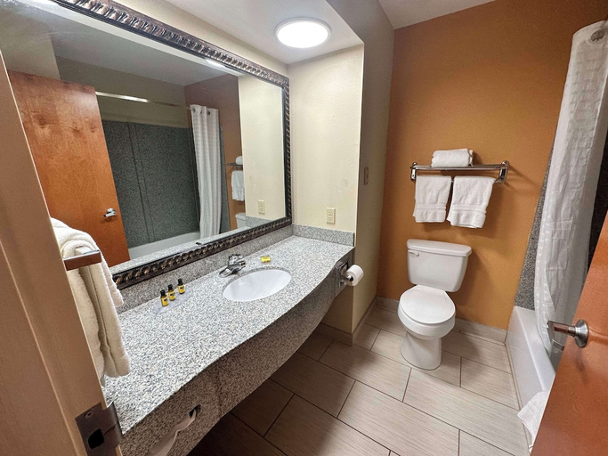 Bathroom 5, Best Western Plus Bass Hotel & Suites, Saint Clair