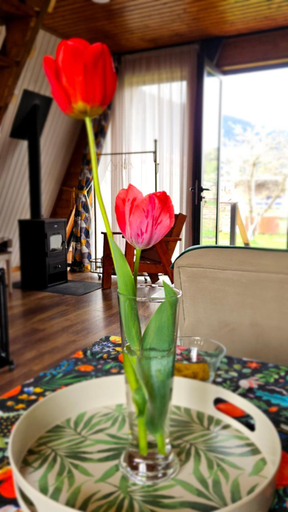 Food & Drinks 5, Cottage in Mestia, Mestia