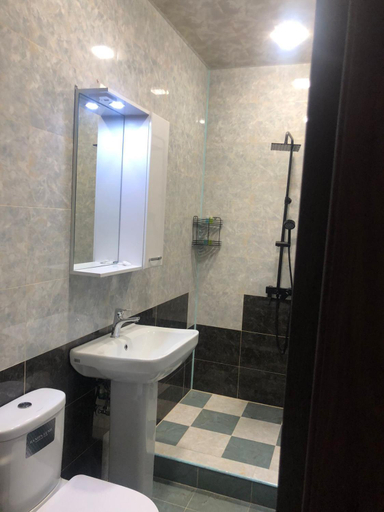 Bathroom 2, Veni Vedi