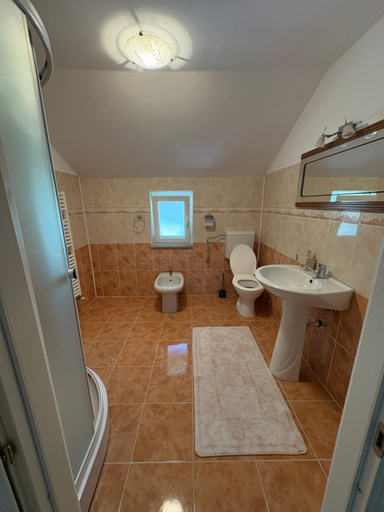 Bathroom 3, Pensiunea 3flori de Colt, Borsa