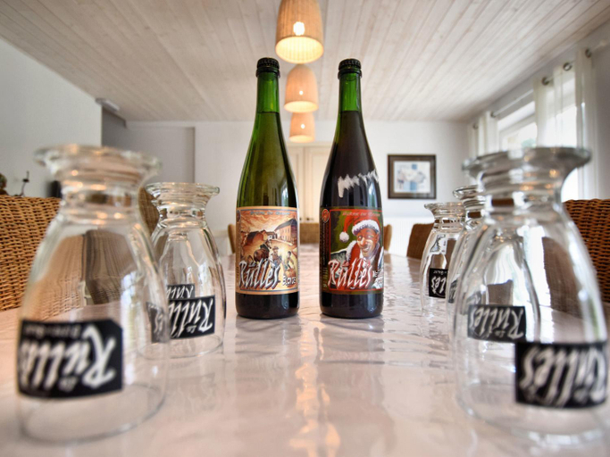 Food & Drinks, Fine group house with sauna garden, Luxembourg