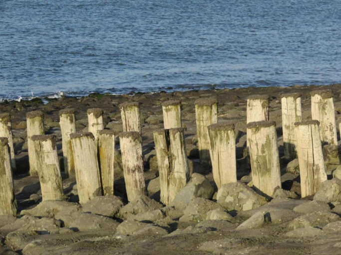Others 4, Holiday Home Westkapelle near Beach, Veere