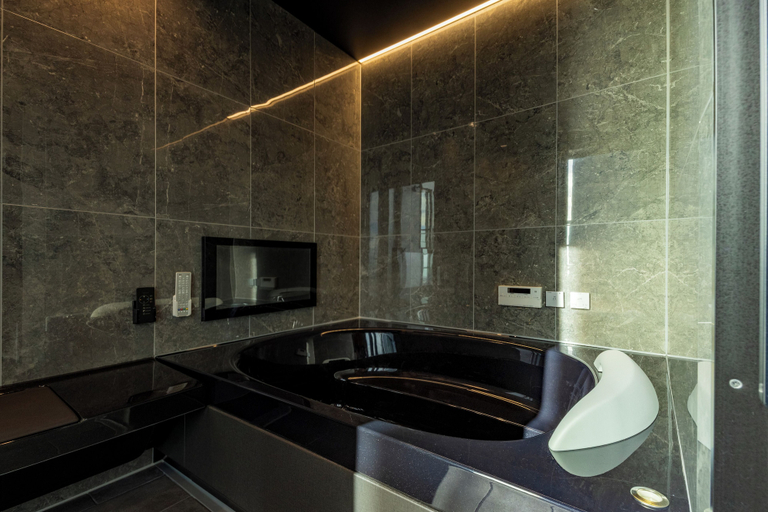 Bathroom 4, Fuji Seiran, Numazu