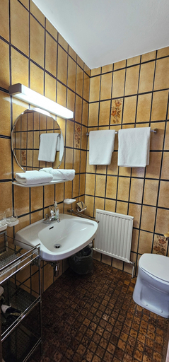 Bathroom 3, Pension Edi, Innsbruck Land