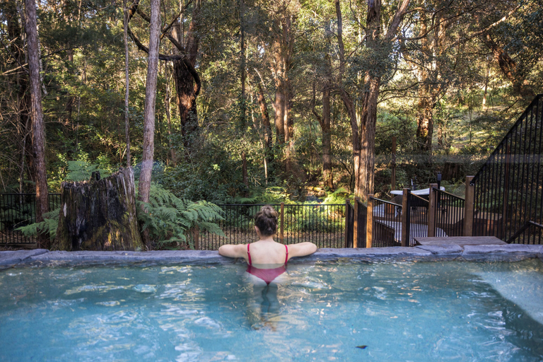 Sport & Beauty 3, Kanimbia Cottages, Maroochy