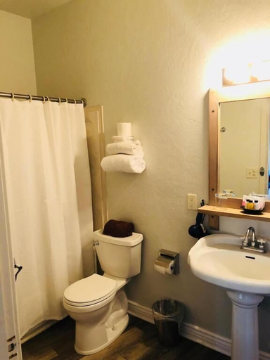 Bathroom 3, Hotel San Ramon, Cochise