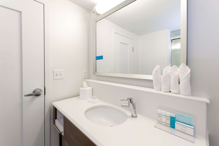 Bathroom 2, HAMPTON INN COLUMBIA I26 HARBISON ROAD, Richland