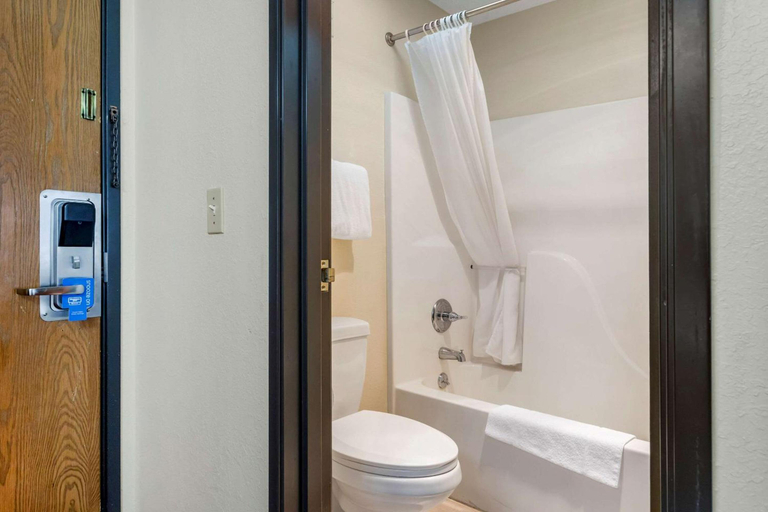 Bathroom 4, Rodeway Inn Coopersville, Ottawa