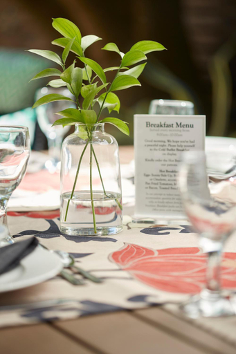 Food & Drinks 4, Bayflowers Guesthouse, City of Cape Town