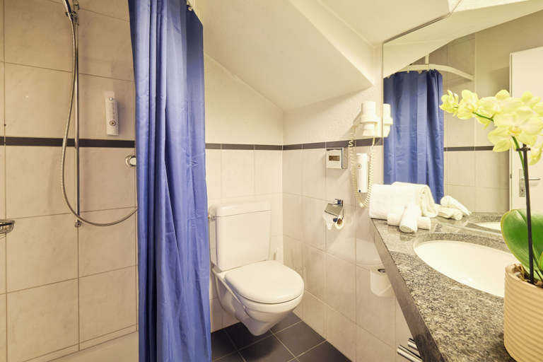 Bathroom 3, Schiff am See, Lac