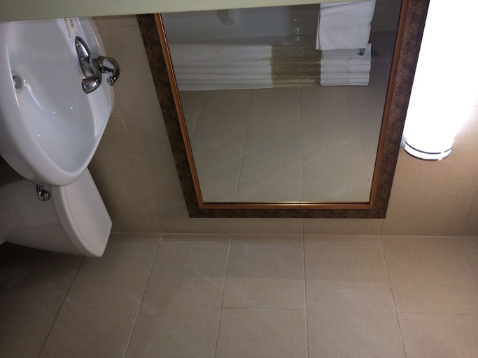 Bathroom, Rodeway Inn Belleville, Essex