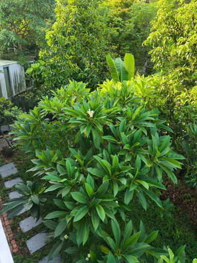 Others 4, Thien An Pine Hill Homestay Hue, Hương Thủy
