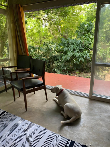 Others 5, T Stop Homestay, Kodagu