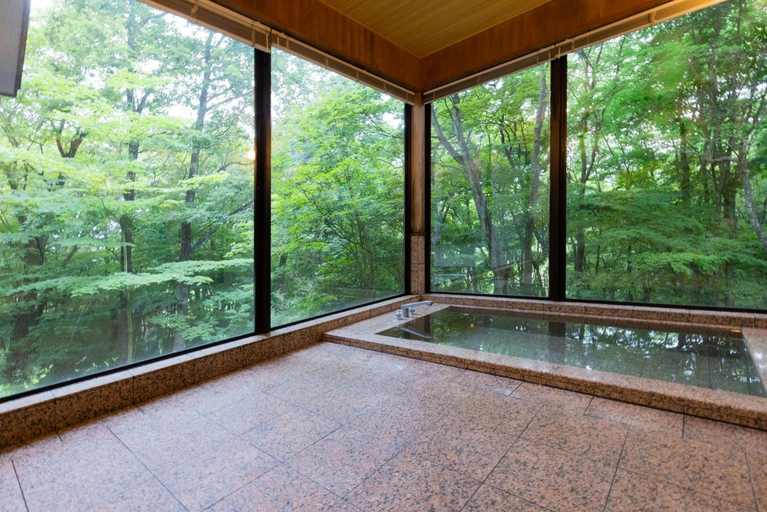 Sport & Beauty, Nasu Fantasy House - Vacation STAY 13590, Nasu