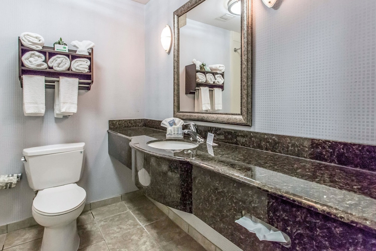 Bathroom 4, Sleep Inn & Suites West Medical Center, Potter