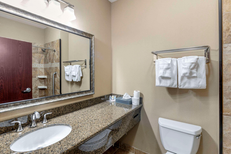 Bathroom 4, Comfort Inn & Suites Fort Worth - Fossil Creek, Fort Worth