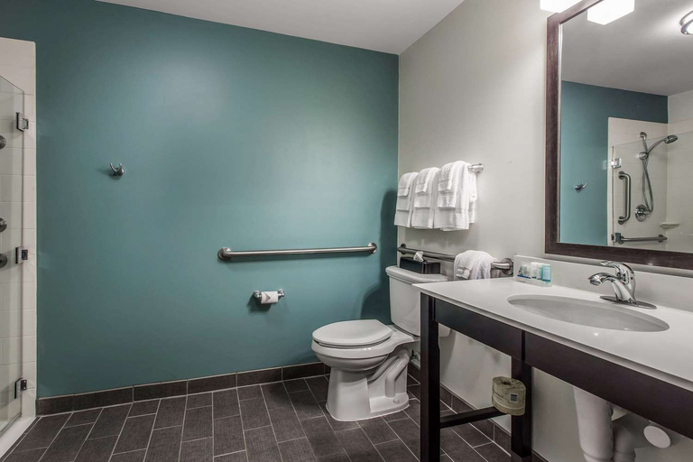 Bathroom 4, Sleep Inn & Suites Clintwood, Dickenson