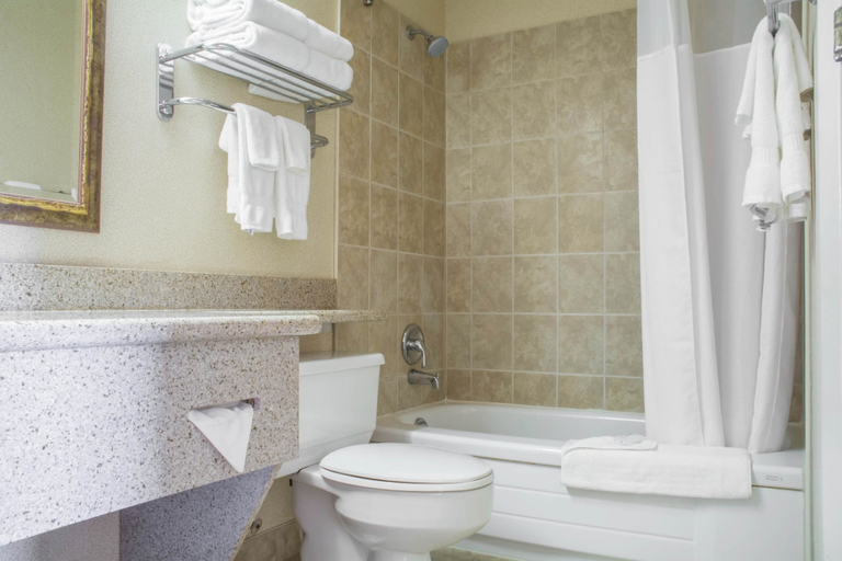 Bathroom 5, Comfort Inn and Suites Ingersoll, Oxford