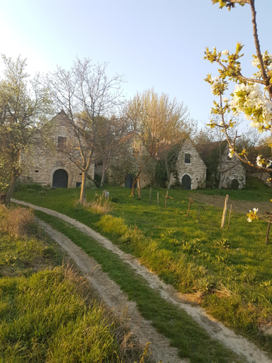 Others 5, Apartments Freitag - H1, Neusiedl am See