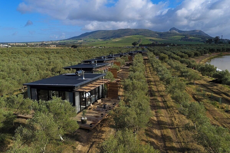 Exterior 5, Olijvenkraal Winelands Lodge, Cape Winelands