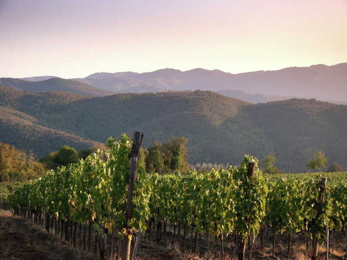 Others 5, Villa with Pool and Wine Country Charm, Arezzo