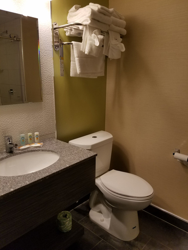 Bathroom 5, Quality Inn West Springfield, Hampden